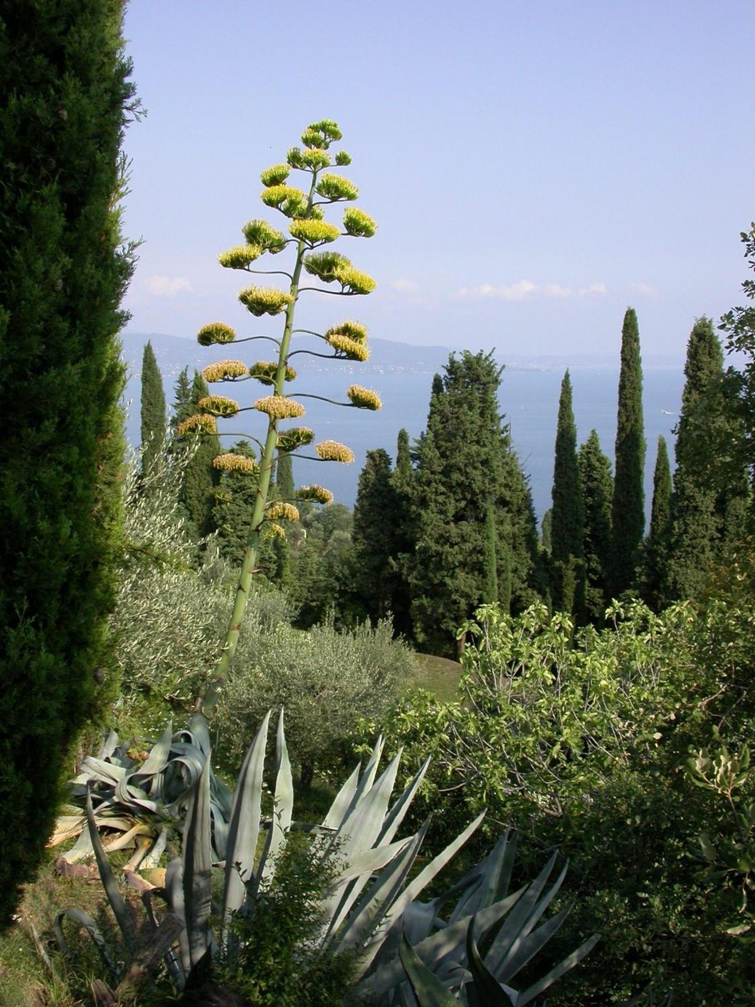 Dimora Bolsone Villa Gardone Riviera Exterior photo
