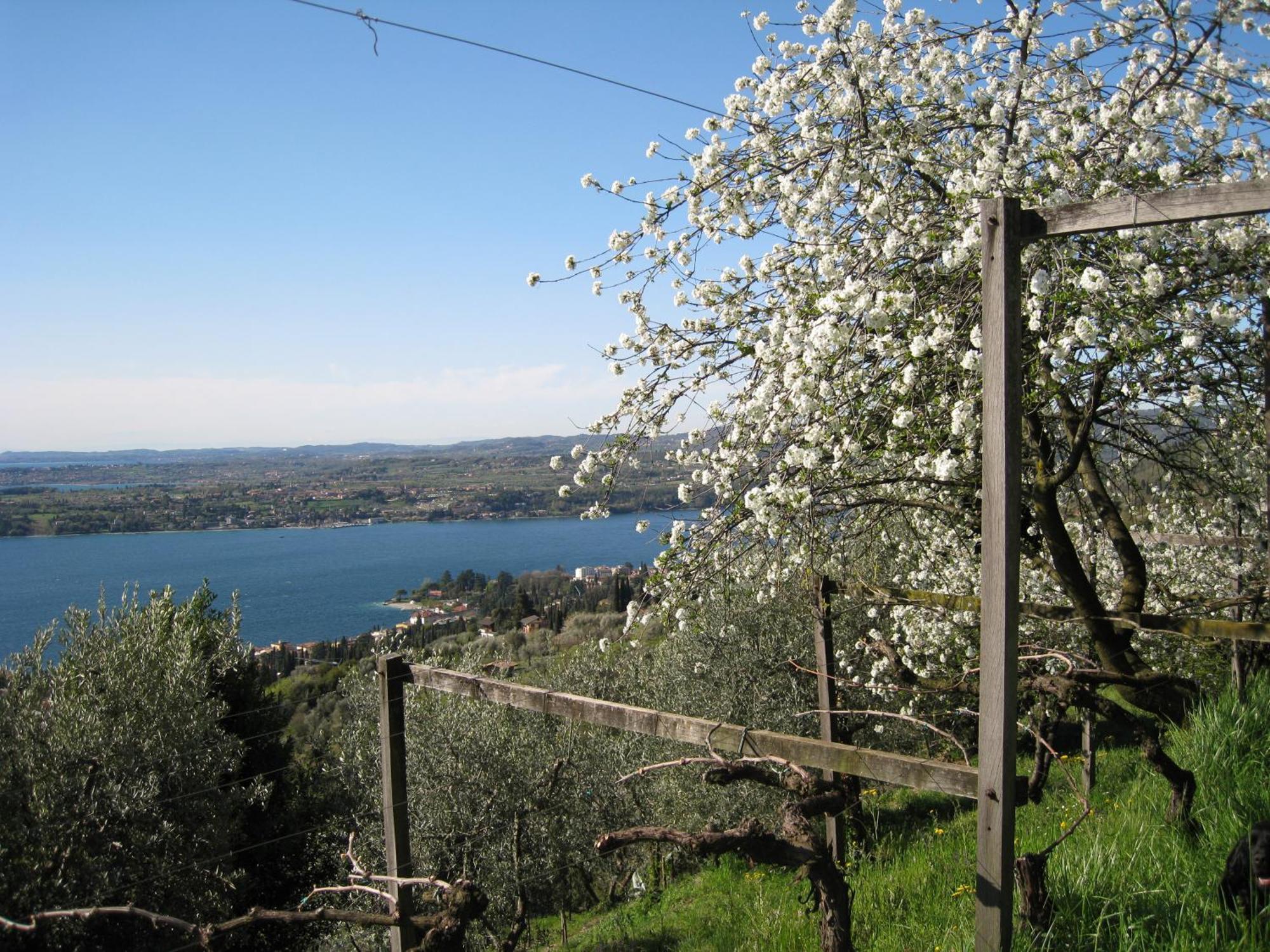 Dimora Bolsone Villa Gardone Riviera Exterior photo